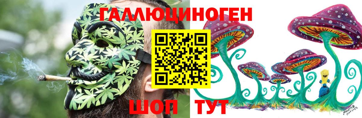 Галлюциногенные грибы Cubensis  Вход с VPN  Богородицк 