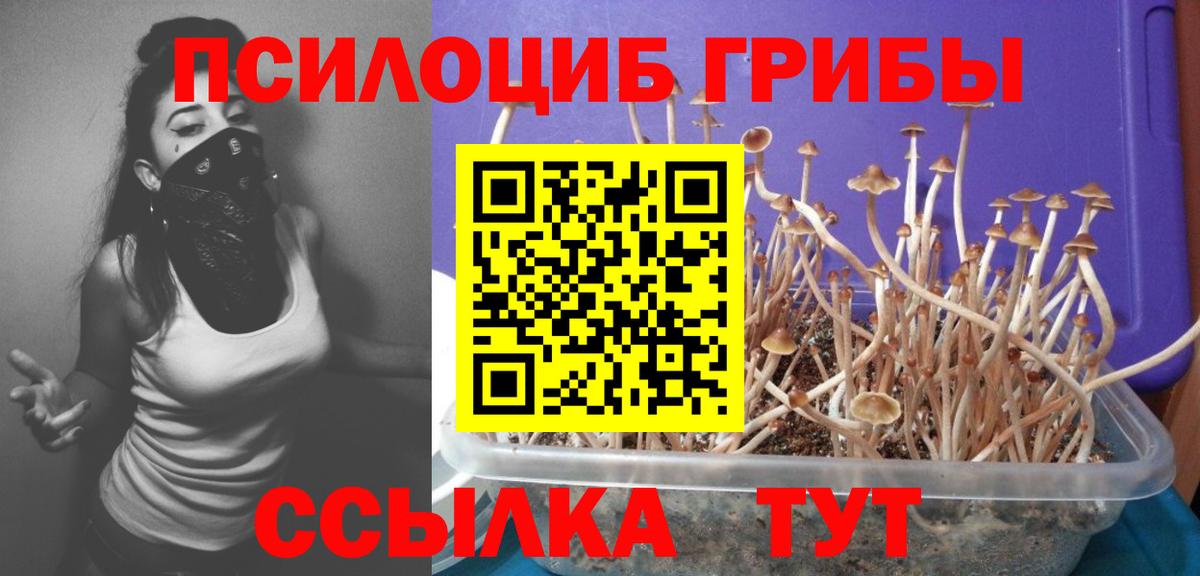 Галлюциногенные грибы мухоморы Богородицк
